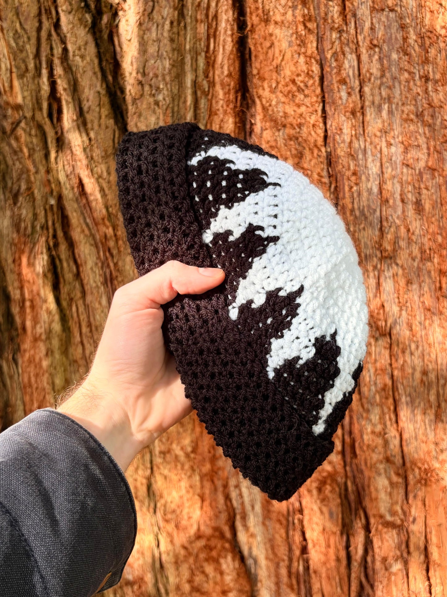 Sun Beanie Crochet Pattern